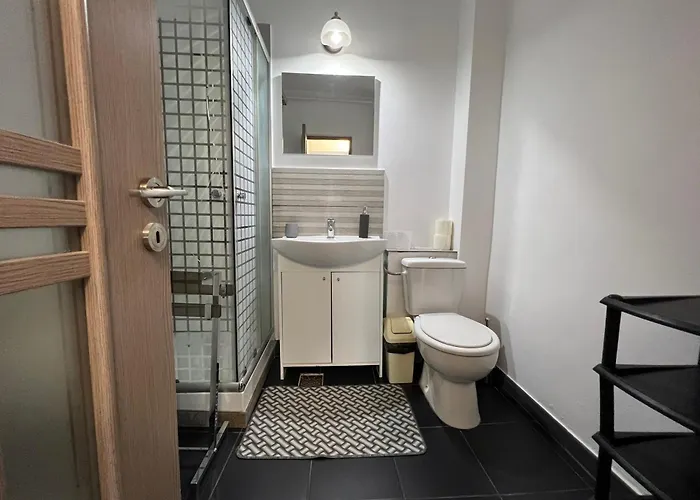 Sfantul Lazar Apartament Palas Mall Center