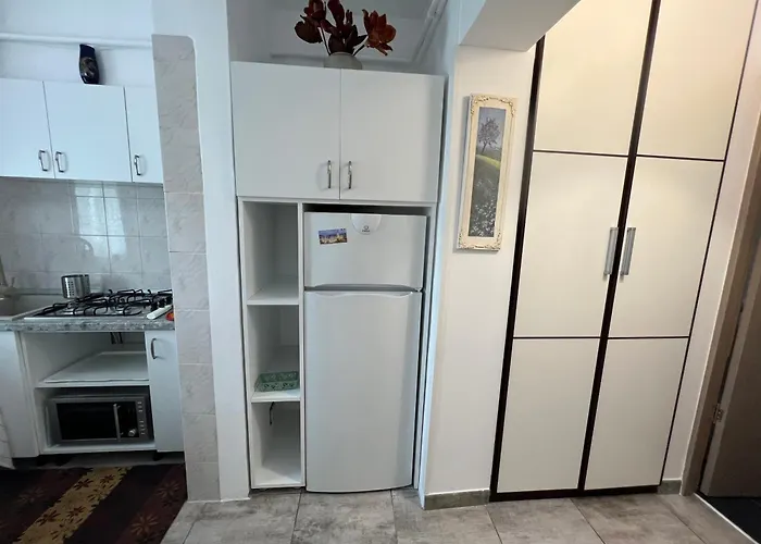 Sfantul Lazar Apartament Palas Mall Center