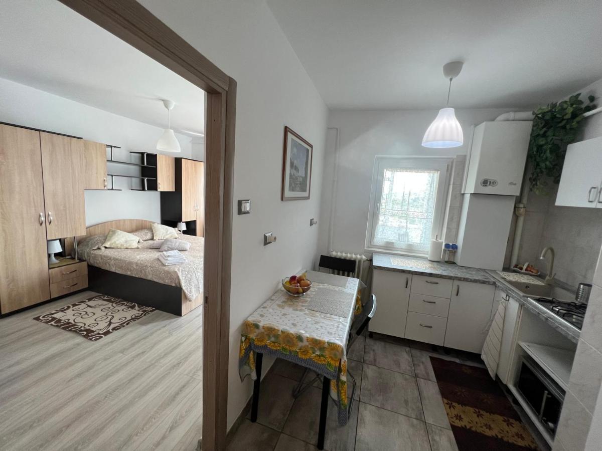 Sfantul Lazar Mall Center Apartment *