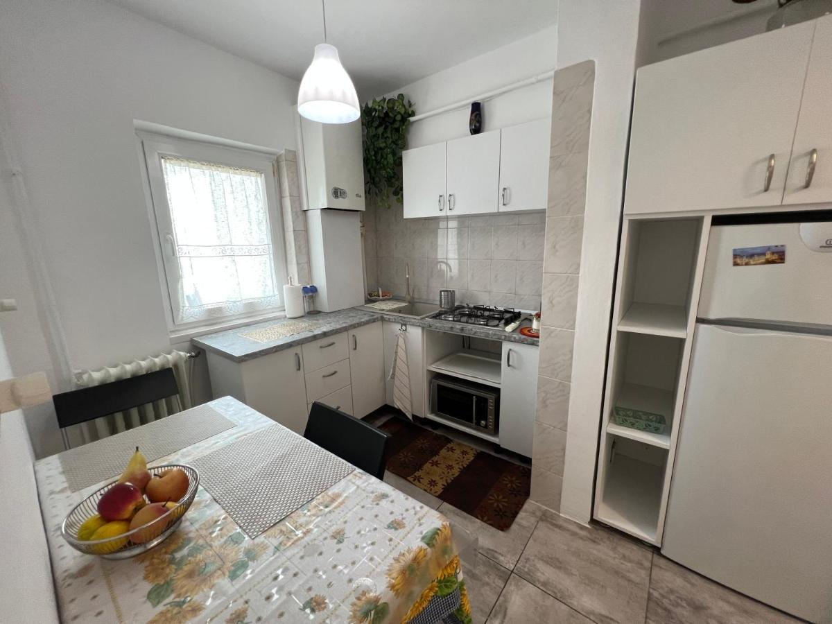 Apartment Sfantul Lazar Mall Center *