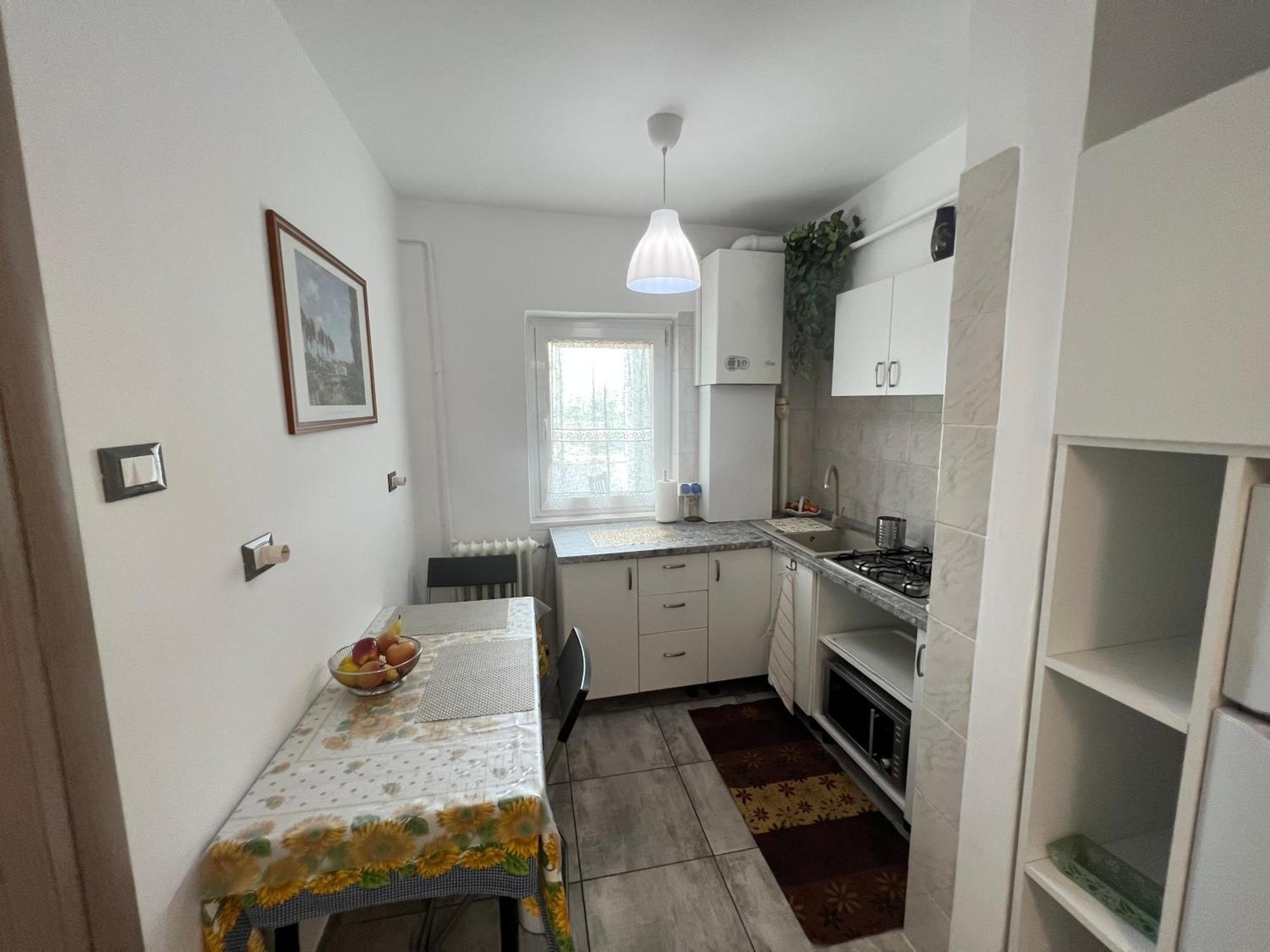 Sfantul Lazar Mall Center Apartment