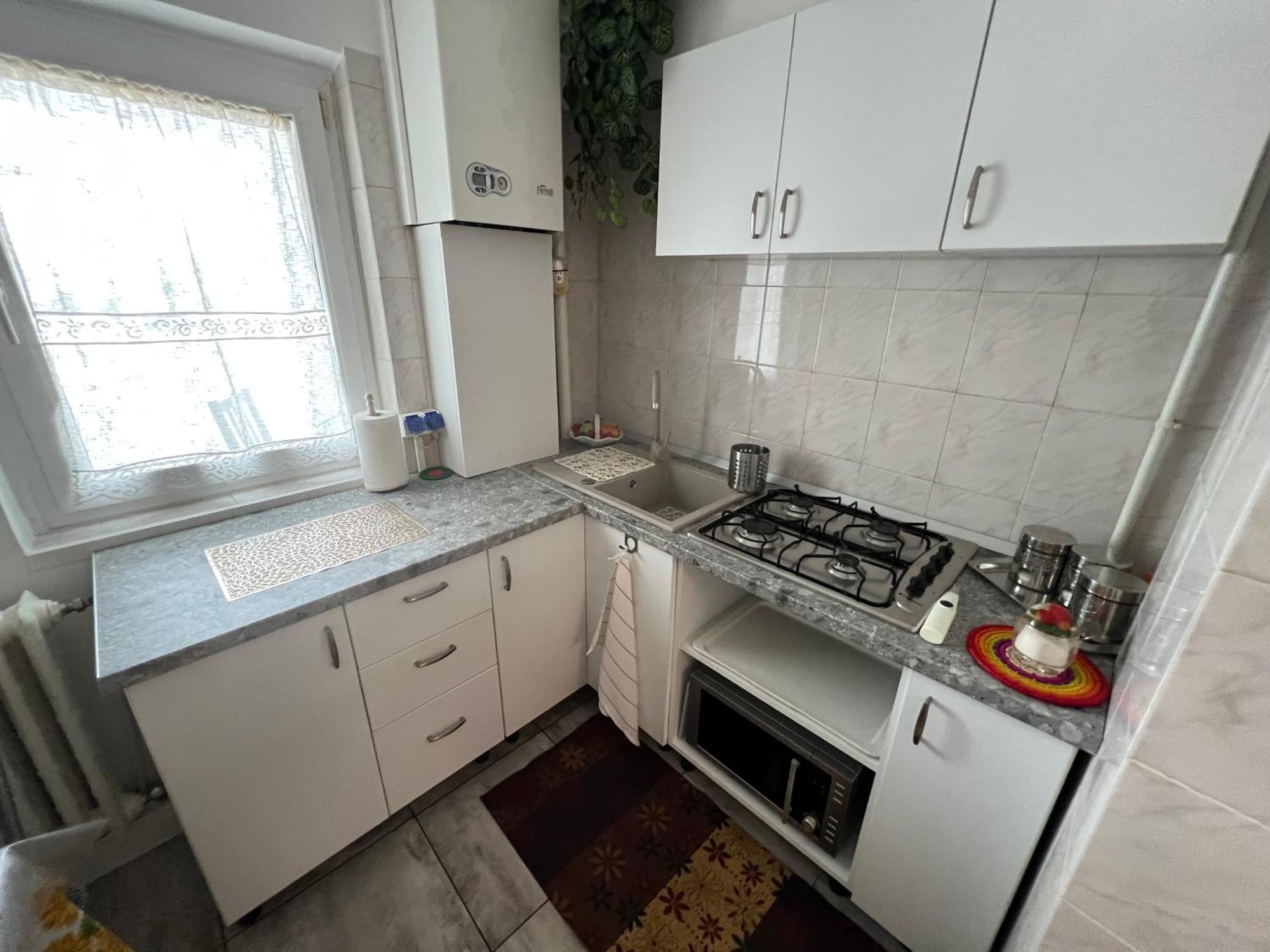 Sfantul Lazar Mall Center Apartment